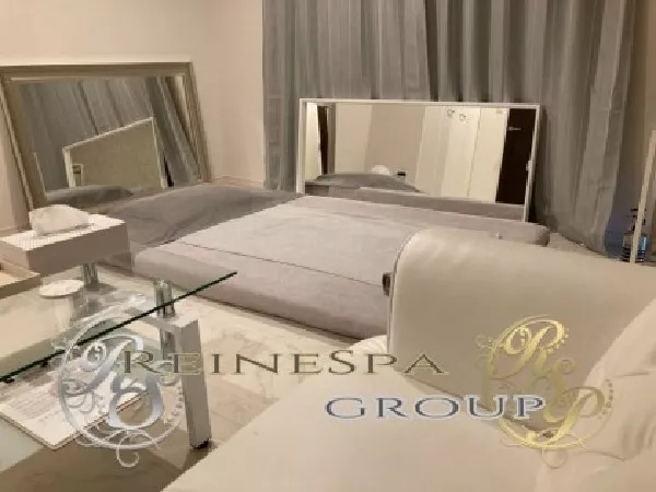 ReineSpa Premium（レーヌスパ プレミアム）