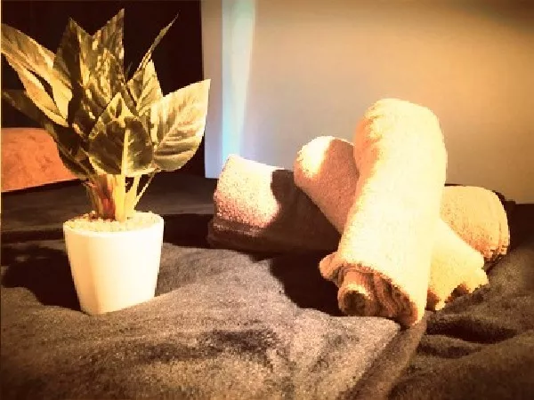 ミセス癒しなでしこ