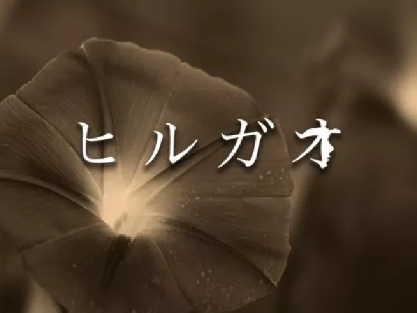 ヒルガオ　〜大人セラピスト倶楽部〜